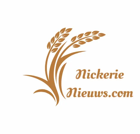 Clients & Collaborators